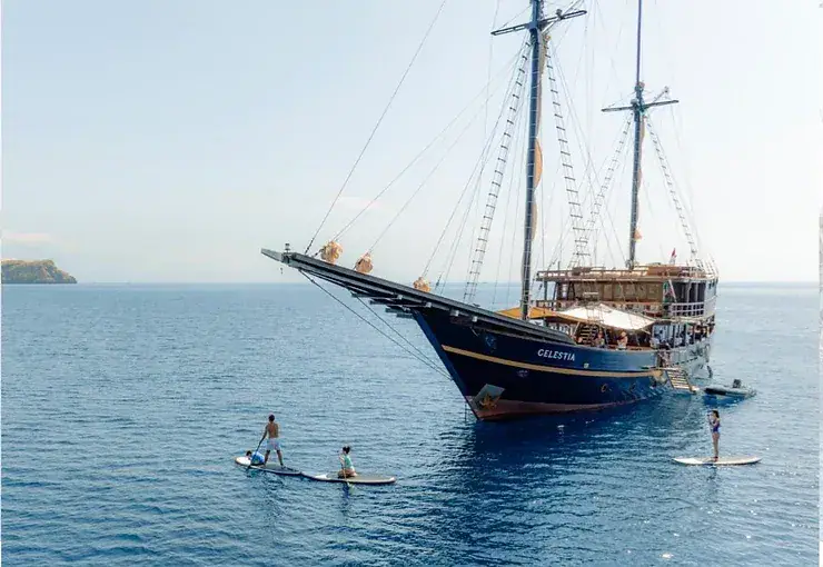 d271f8_932c12e6724c4f489054d5f44716720f~mv2