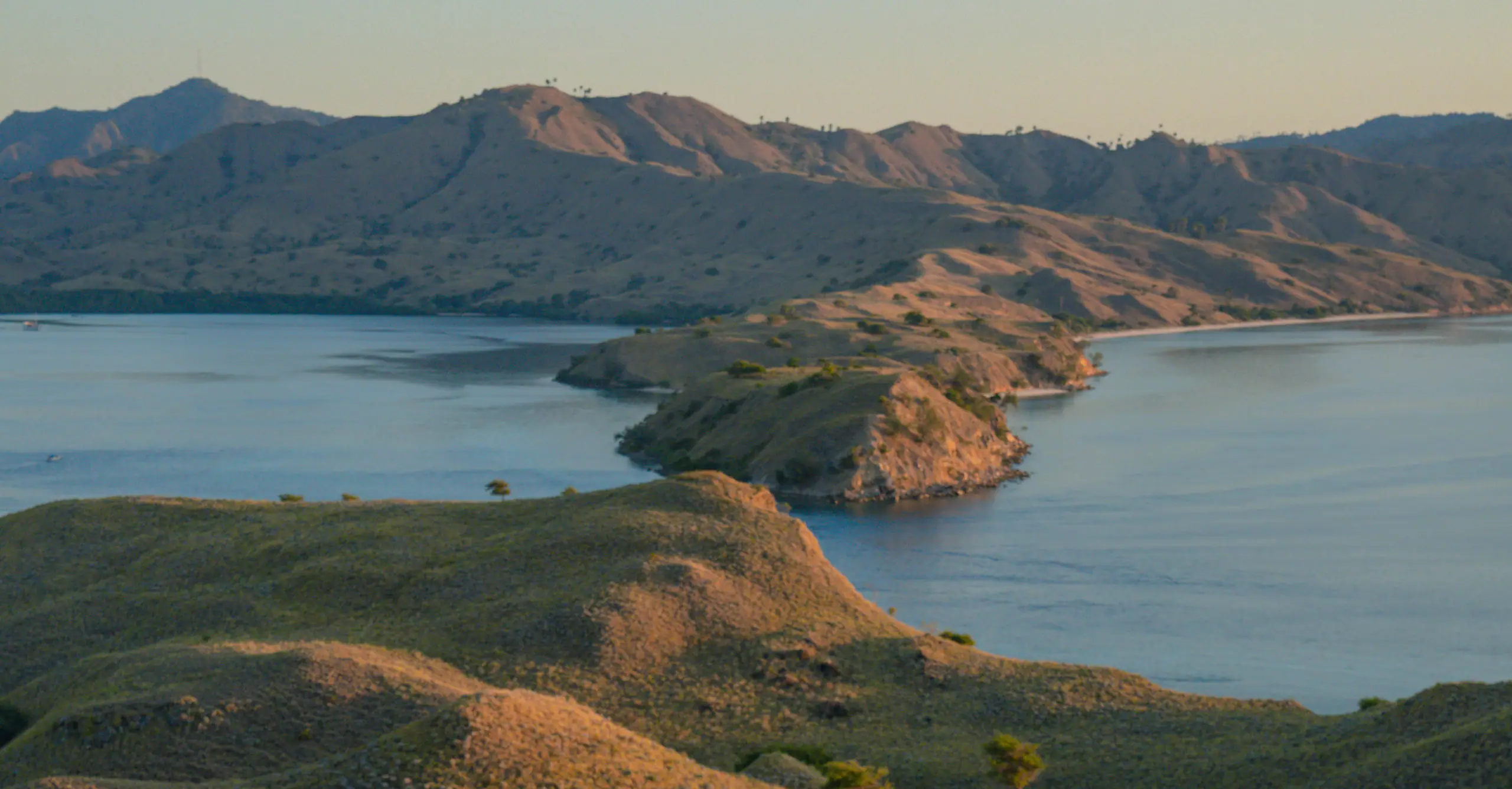 destination-celestia-70