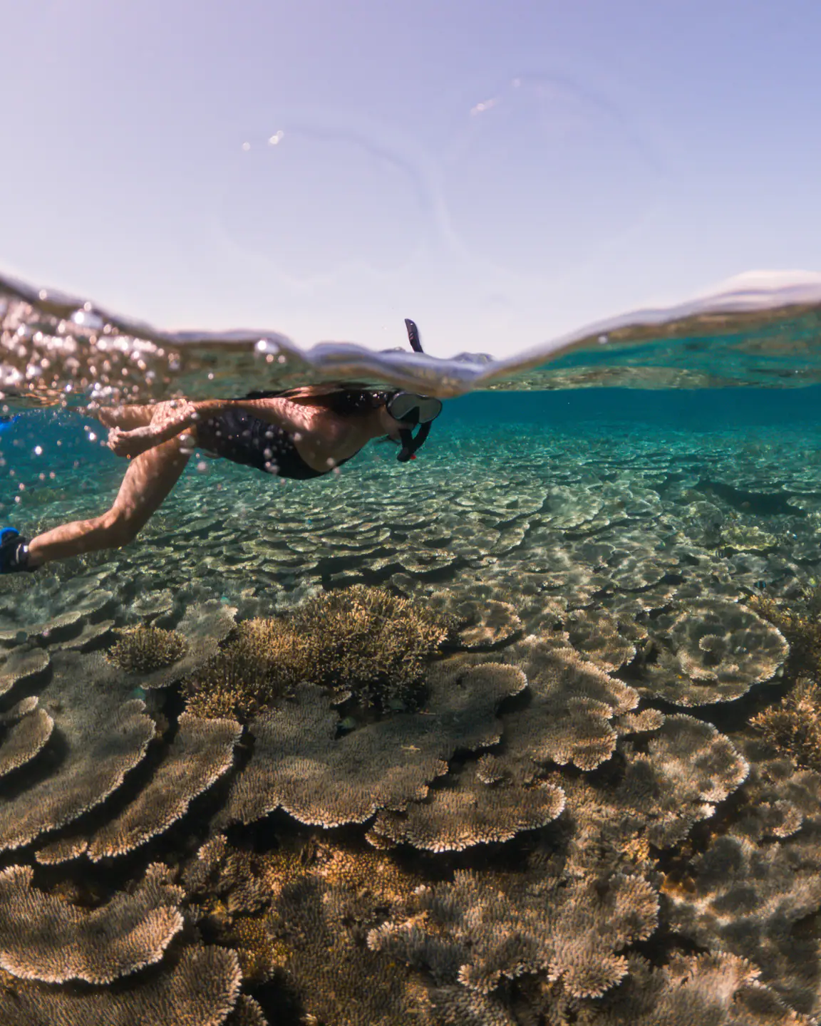 underwater-celestia-32